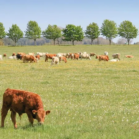 Feriehus Reetdachhaus 5 Auf Usedom Garz (Usedom)