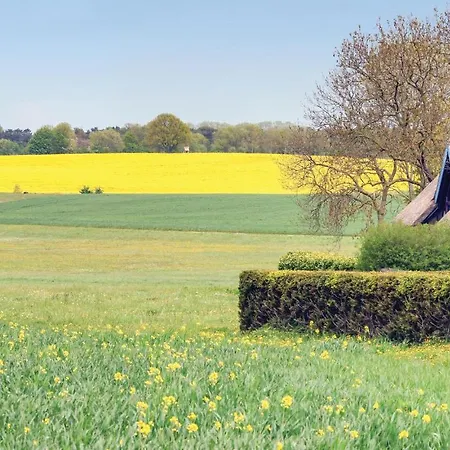 Reetdachhaus 5 Auf Usedom *