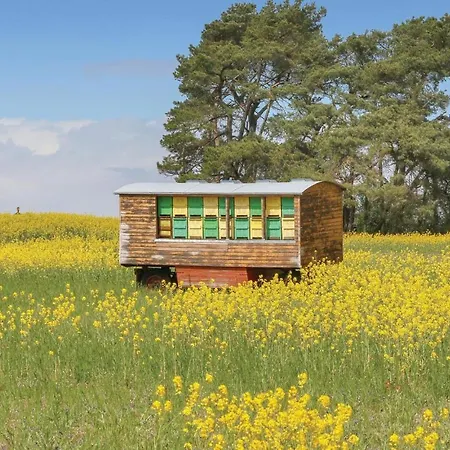 Reetdachhaus 5 Auf Usedom *