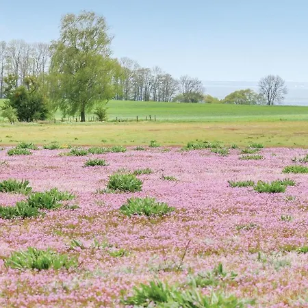 Reetdachhaus 5 Auf Usedom