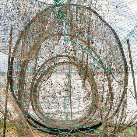 Reetdachhaus 5 Auf Usedom